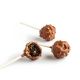 CAKE POPS CHOCOLATE DE ROCHER CON AVELLANA 14g/9cm BANDEJA 30und (CAJA DE 8 BANDEJAS)