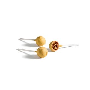 CAKE POPS CHOCO GOLDEN MOKA 14gr / 9cm BANDEJA 30und (CAJA 8 BANDEJAS)